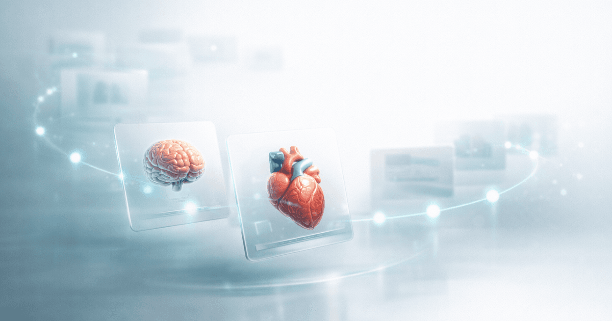 Fluxo de estudo com repetição espaçada